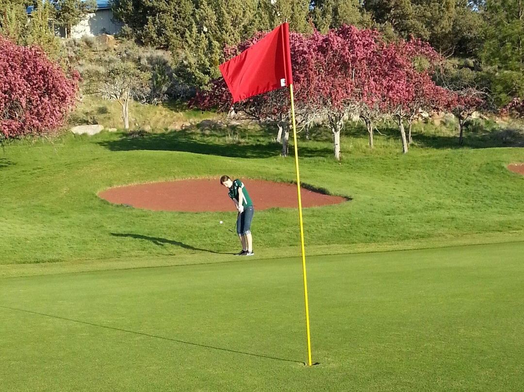 Lake Shastina Golf Resort - Championship Course景点图片
