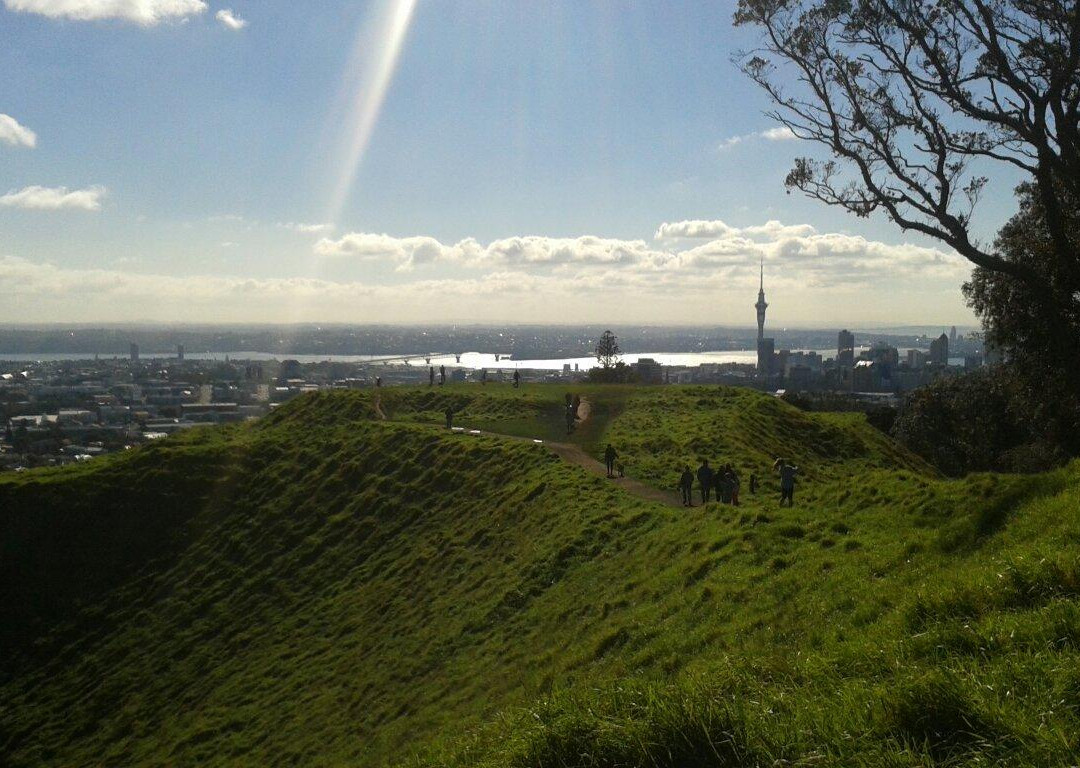 Twin Harbours Tours-奥克兰中心地区必去景点
