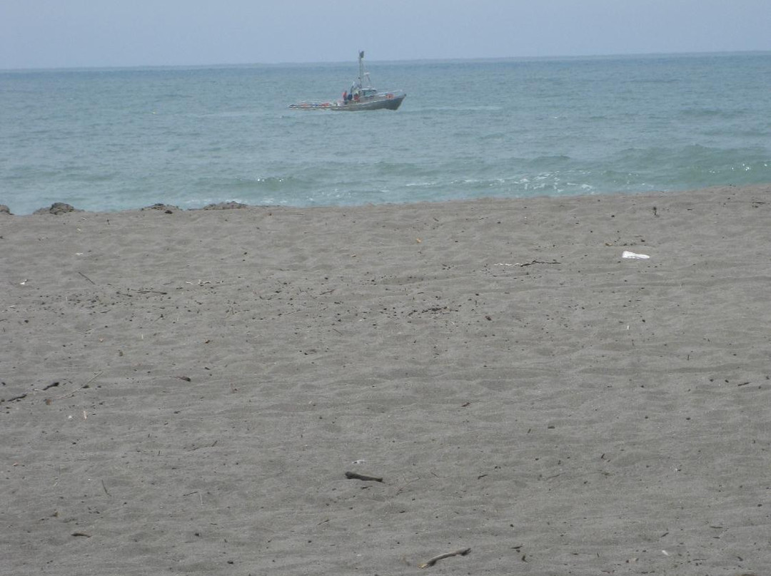 Centerville Beach County Park景点图片