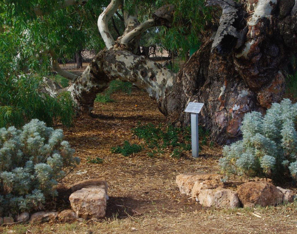 Greenough Museum & Gardens-Greenough必去景点