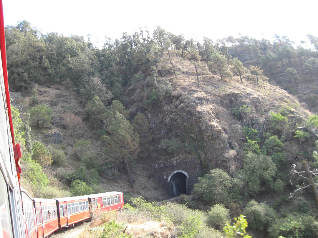 Shimla Heritage Walk景点图片