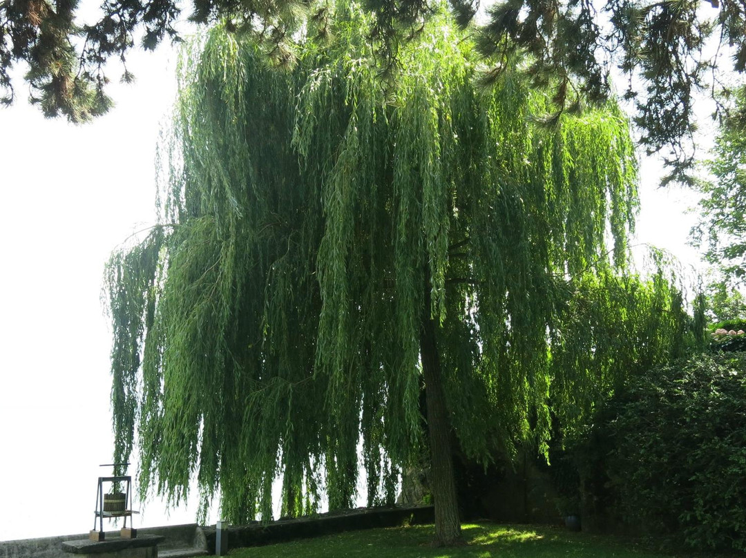 Chateau De Glerolles-St-Saphorin-Lavaux必去景点