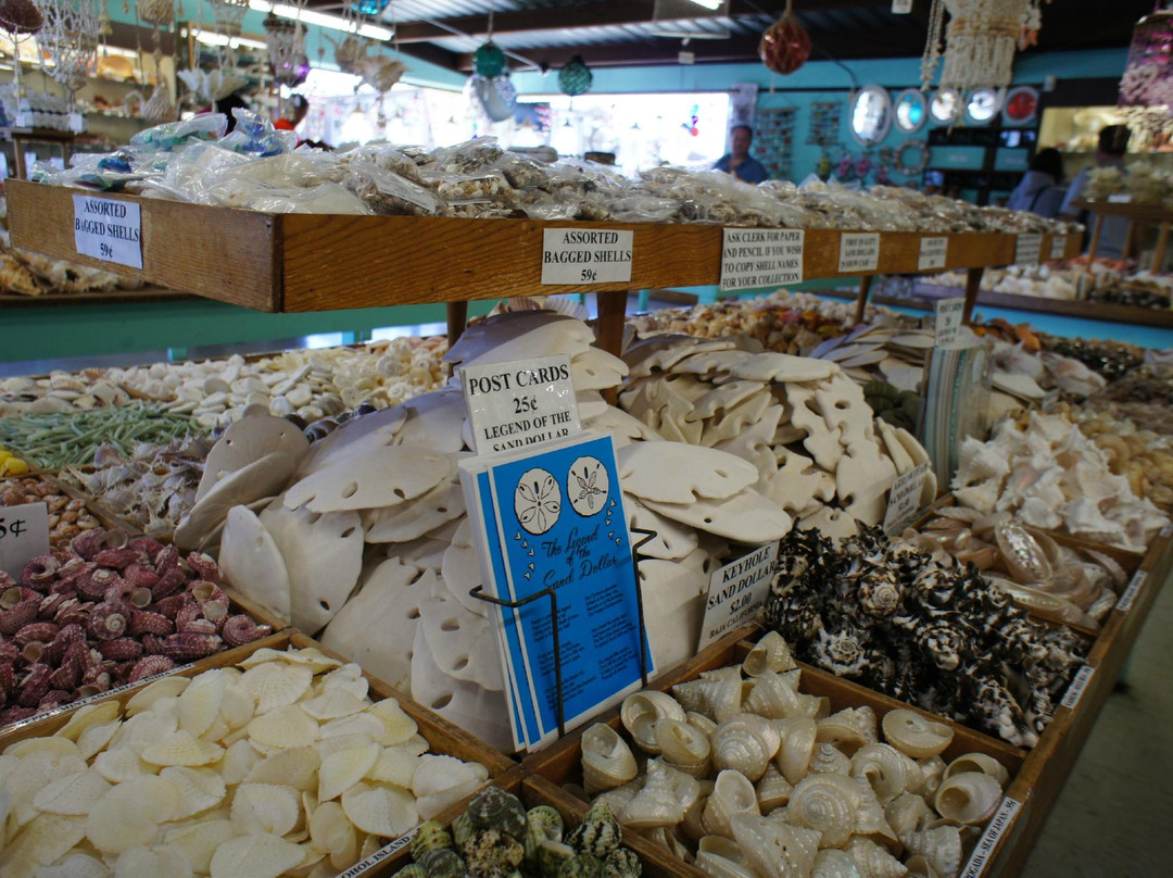 The Shell Shop-莫罗贝必去景点