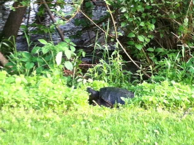 Clifton E. French Regional Park-Plymouth必去景点