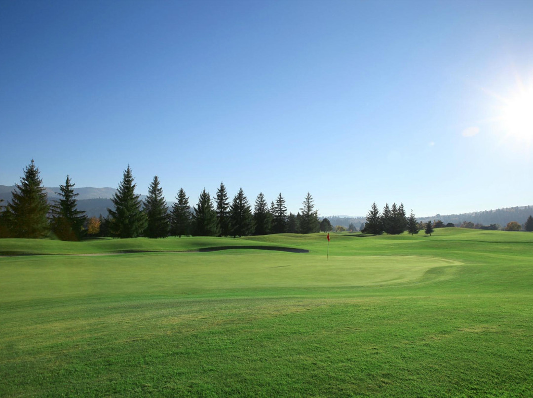 MeadowWood Golf Course景点图片