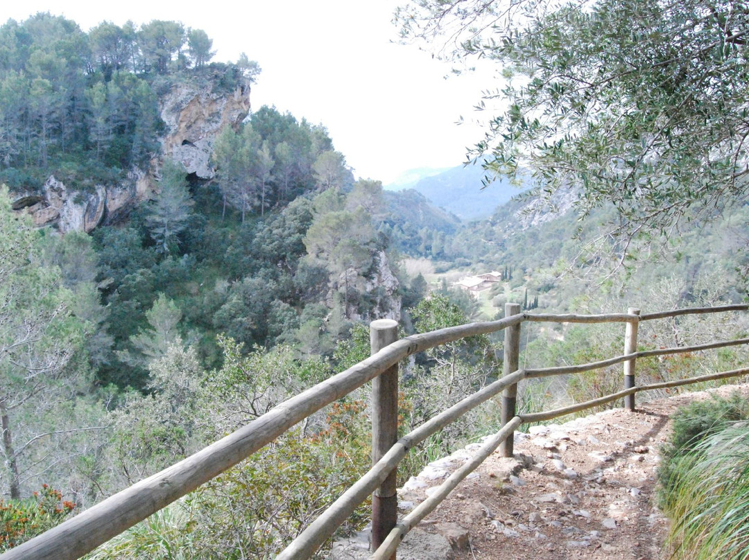 La Reserva Puig de Galatzó-Puigpunyent必去景点