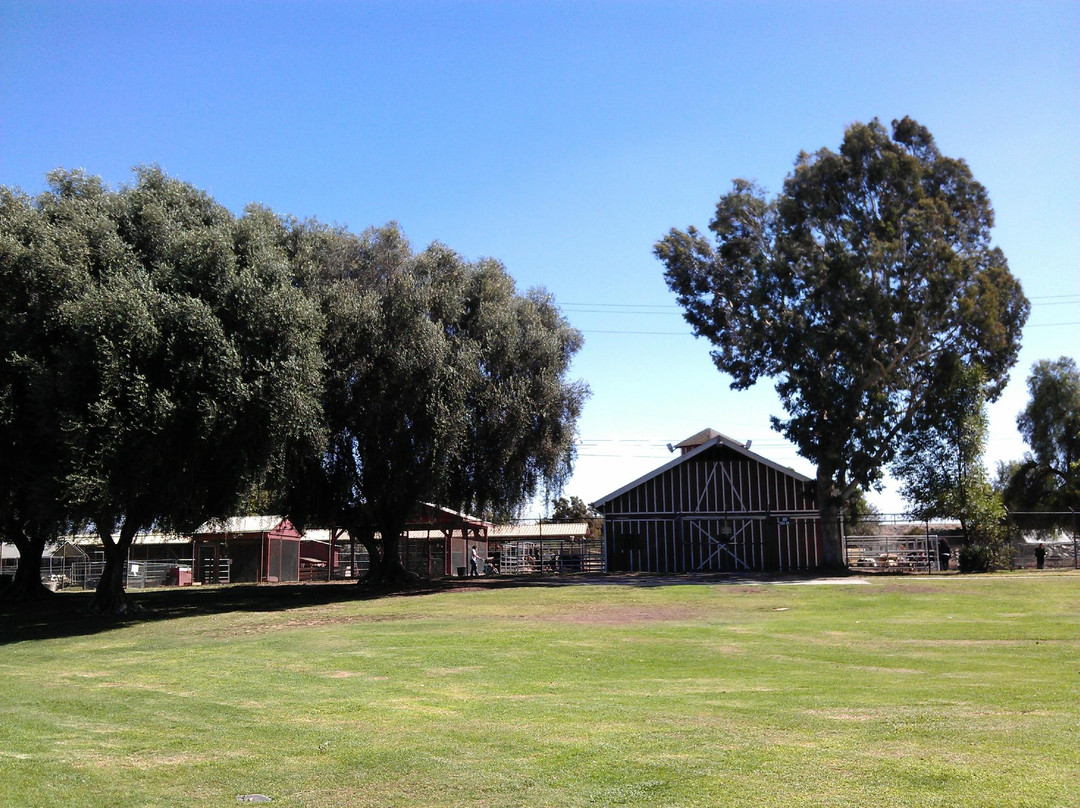 Montebello Barnyard Zoo-蒙特贝洛必去景点