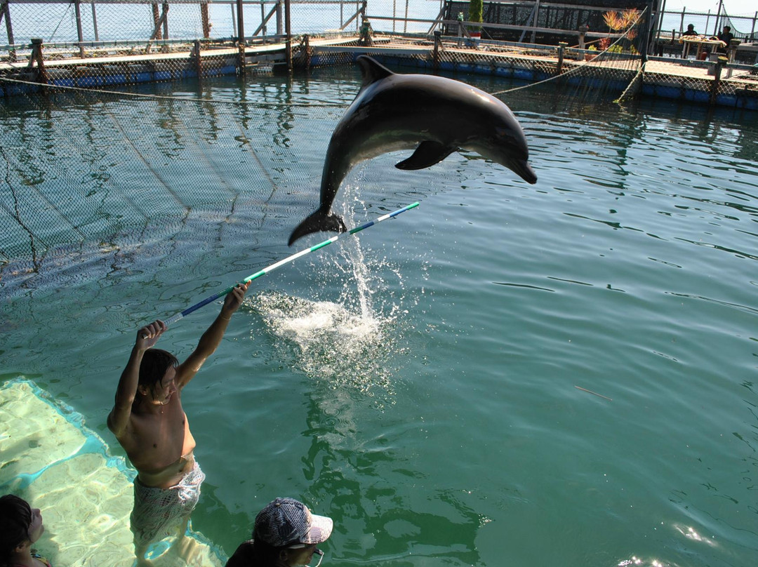 Tamatur Bali-登巴萨必去景点