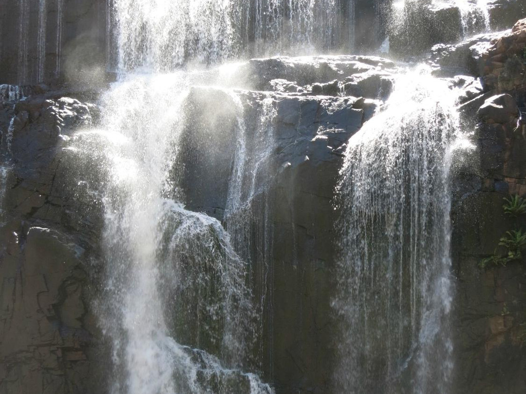 McKenzies Falls-哈密尔顿必去景点