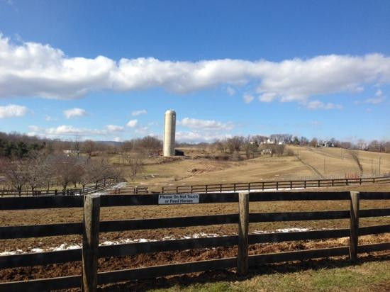 Goose Creek Farm and Winery - Otium Cellars景点图片
