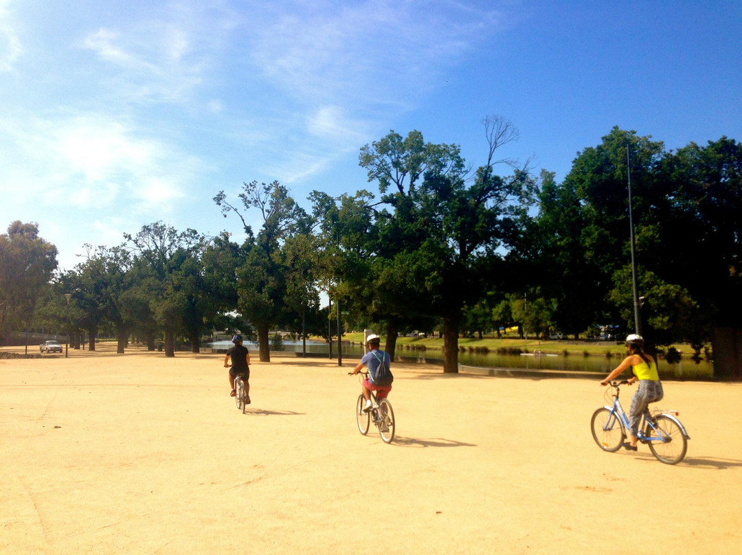 雅拉河-墨尔本必去景点