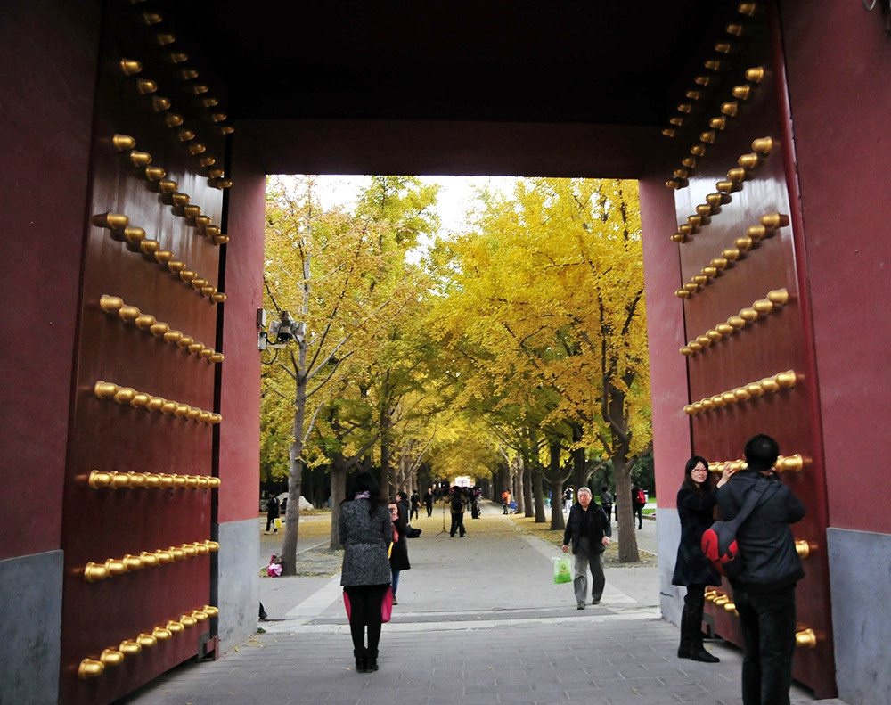地坛公园-北京市必去景点