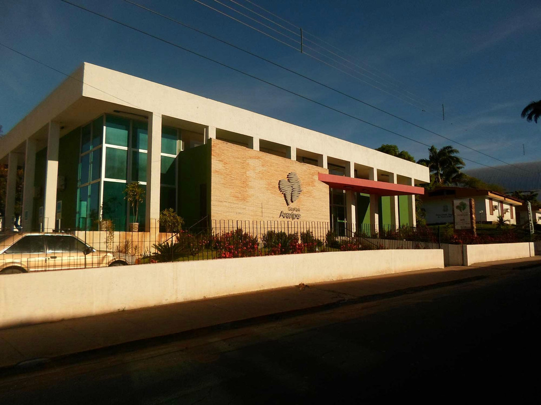 Geopark Araripe-Crato必去景点