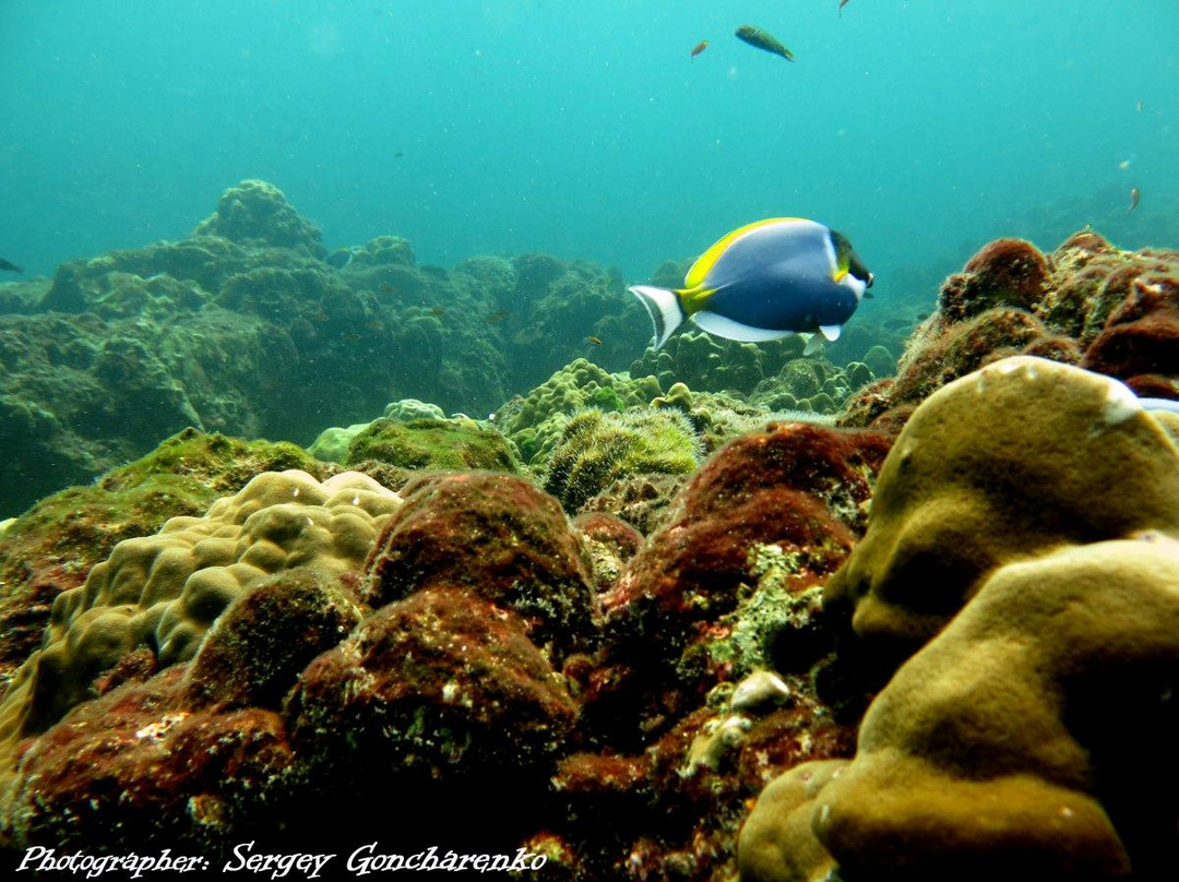 OK Club Diving Center-兰塔岛必去景点