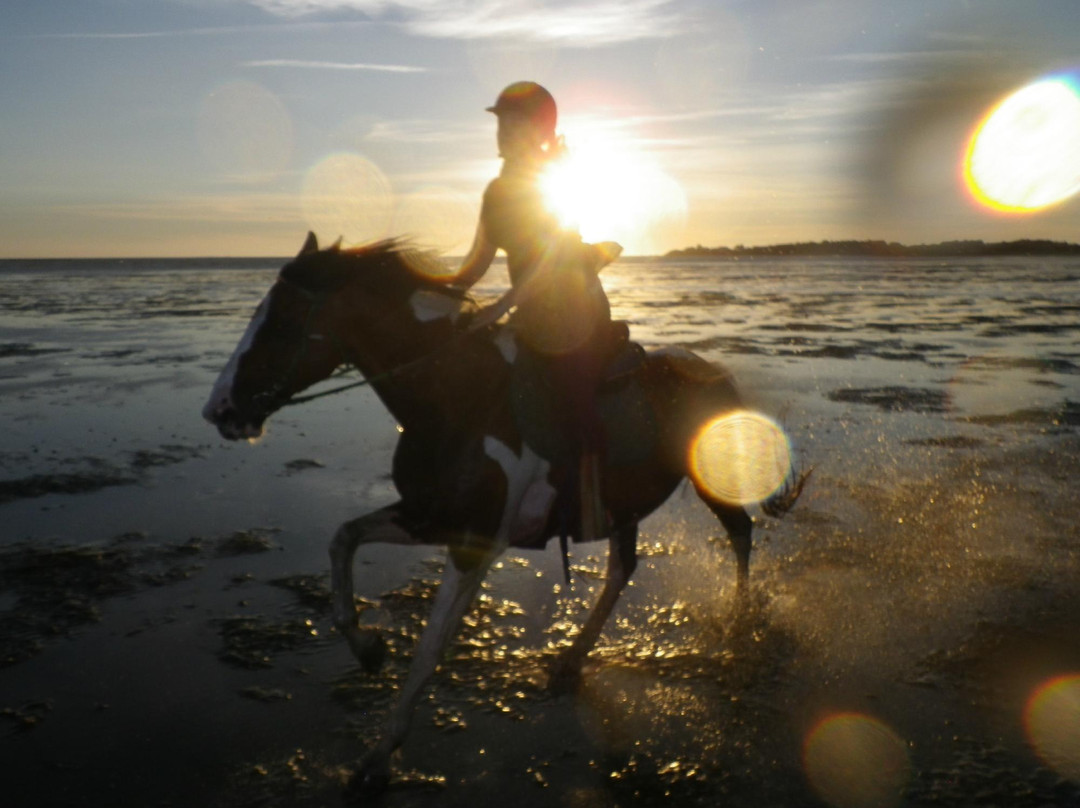 Centre Equestre La Champagne景点图片