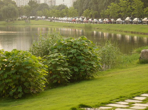 上海维也纳酒店松江店主图