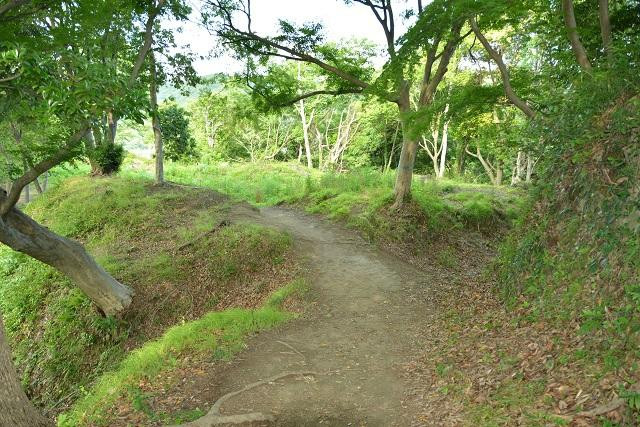 Nirayama Castle Ruins-伊豆之国市必去景点