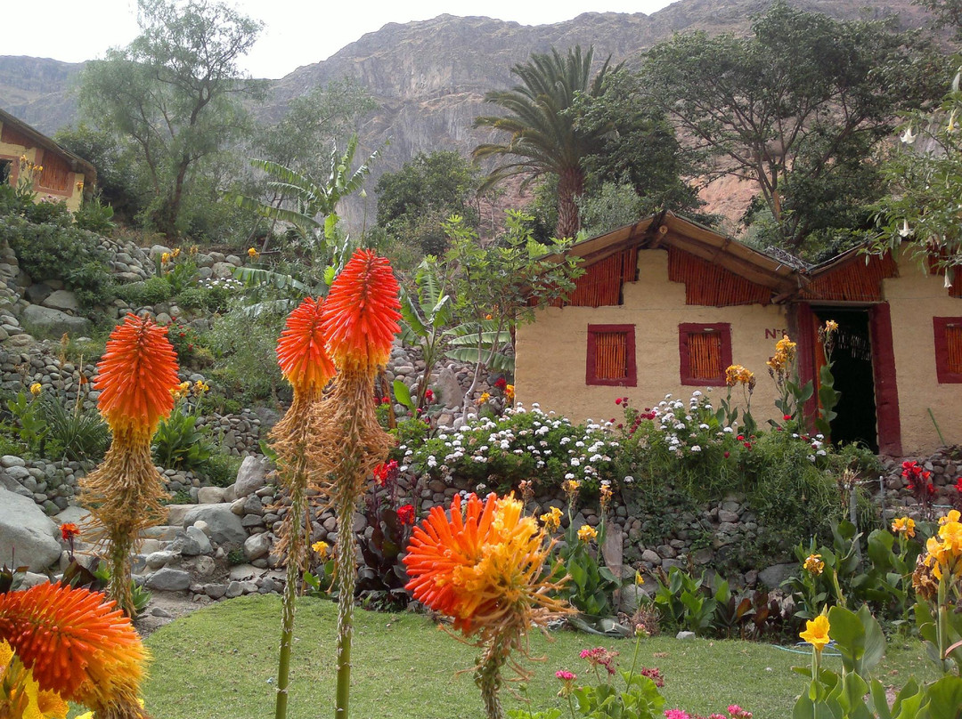 Oasis Sangalle-Cabanaconde必去景点