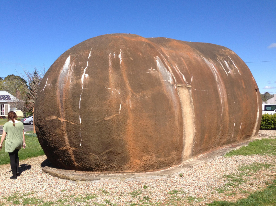 The Big Potato-Robertson必去景点