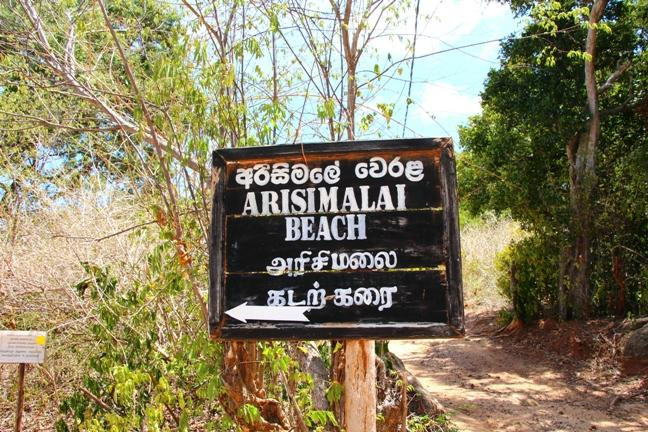 Arisimale Beach-Trincomalee必去景点