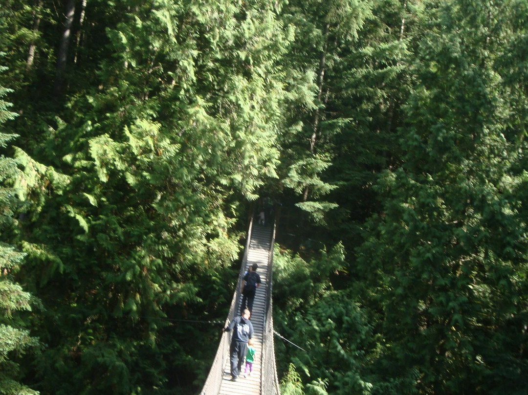 Lynn Canyon Suspension Bridge-北温哥华必去景点