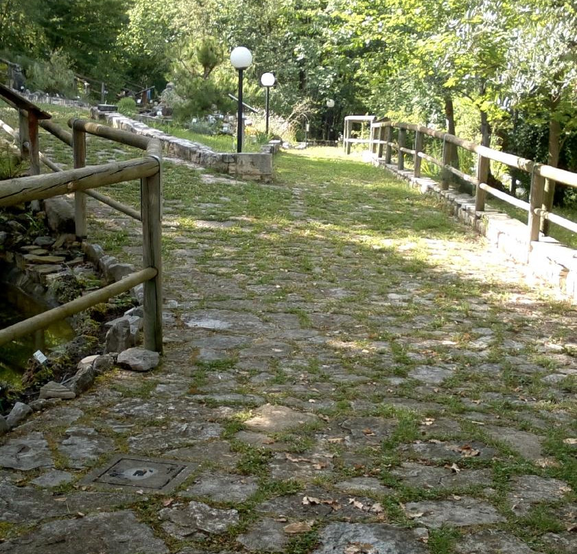 Giardino Botanico "Michele Tenore"景点图片