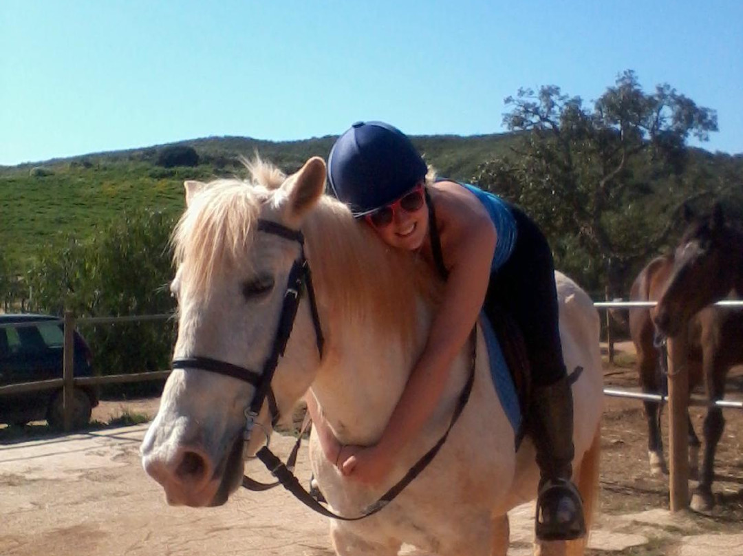 QPA Horse Riding Centre景点图片