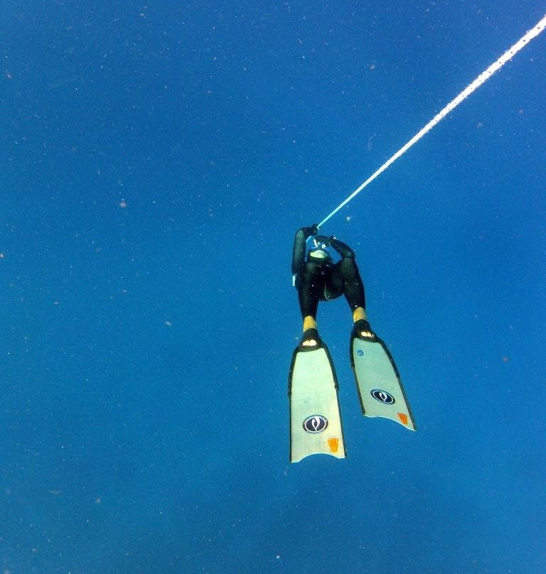 Freedive-Panglao-邦劳岛必去景点