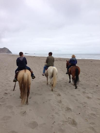 Five Brooks Stables-Olema必去景点