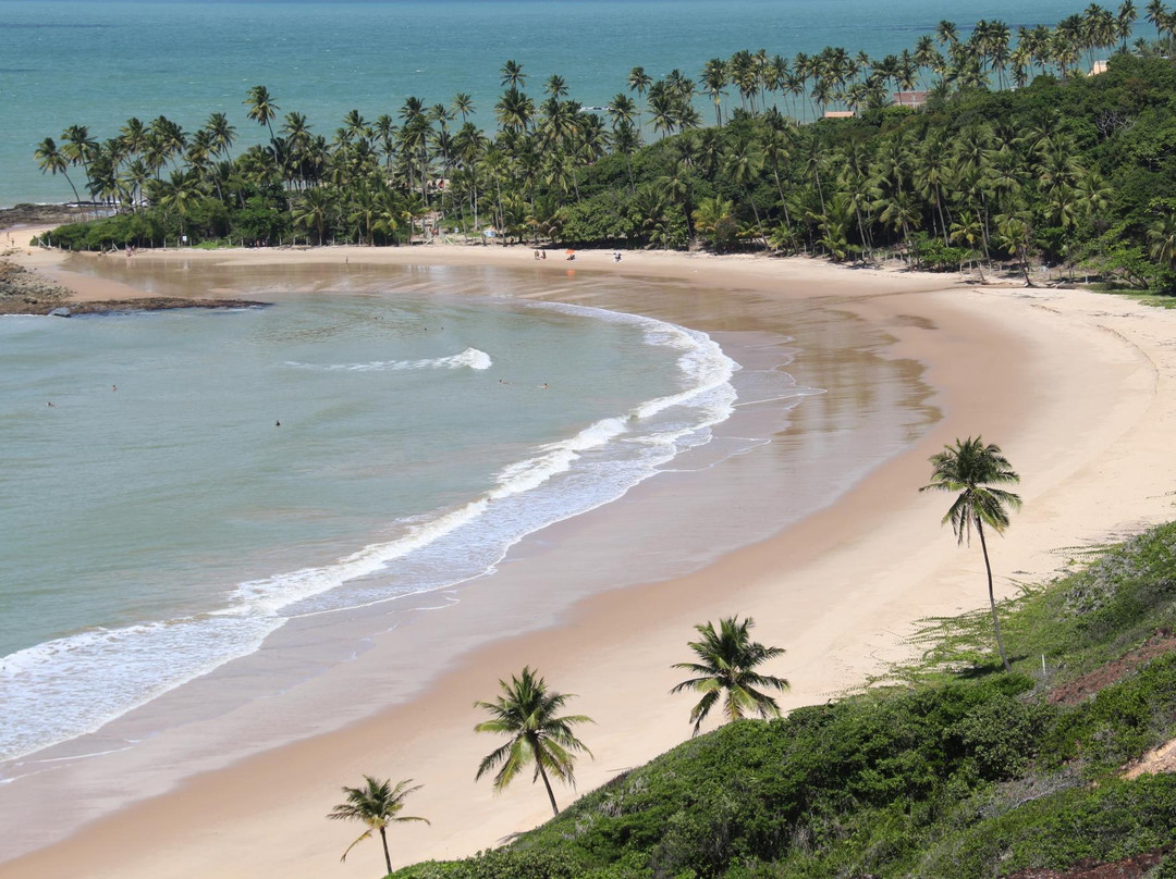 Praia do Coqueirinho-Conde必去景点