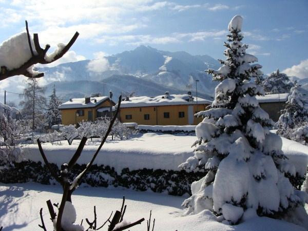 La Coccinella B&B主图