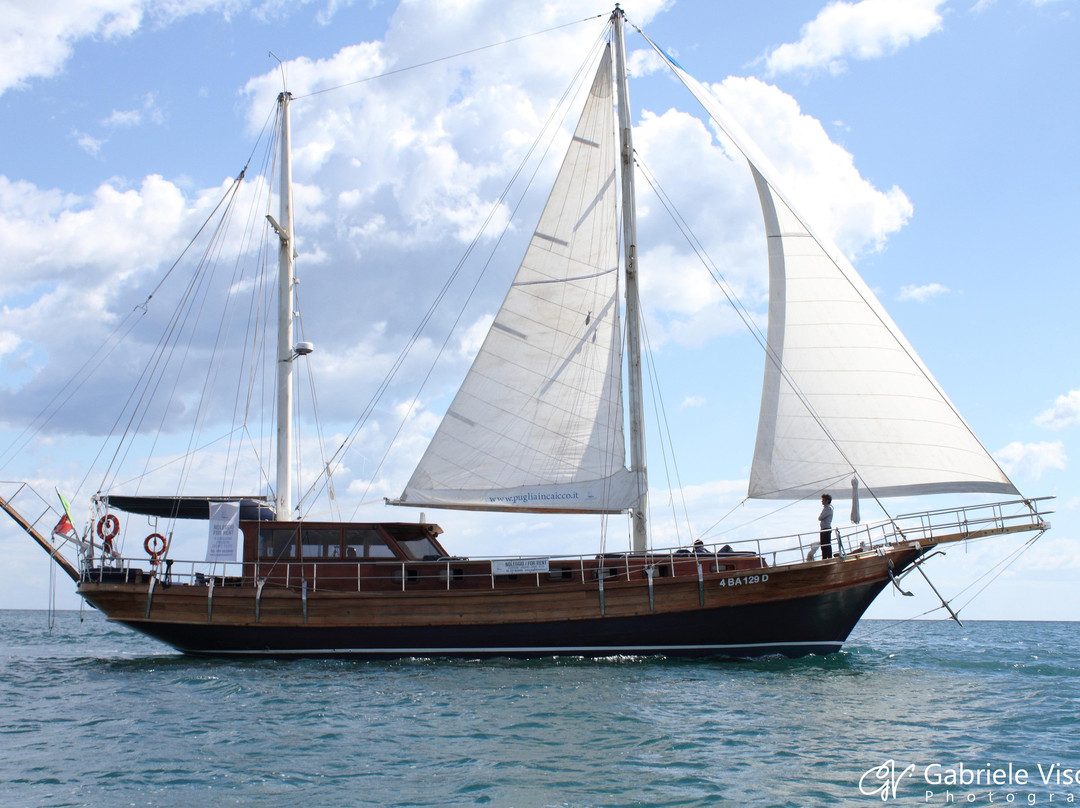 Marasciulo Charter