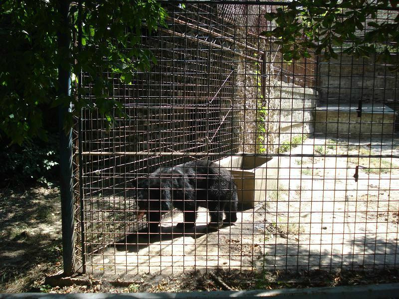 Zoo Parc Calarasi景点图片