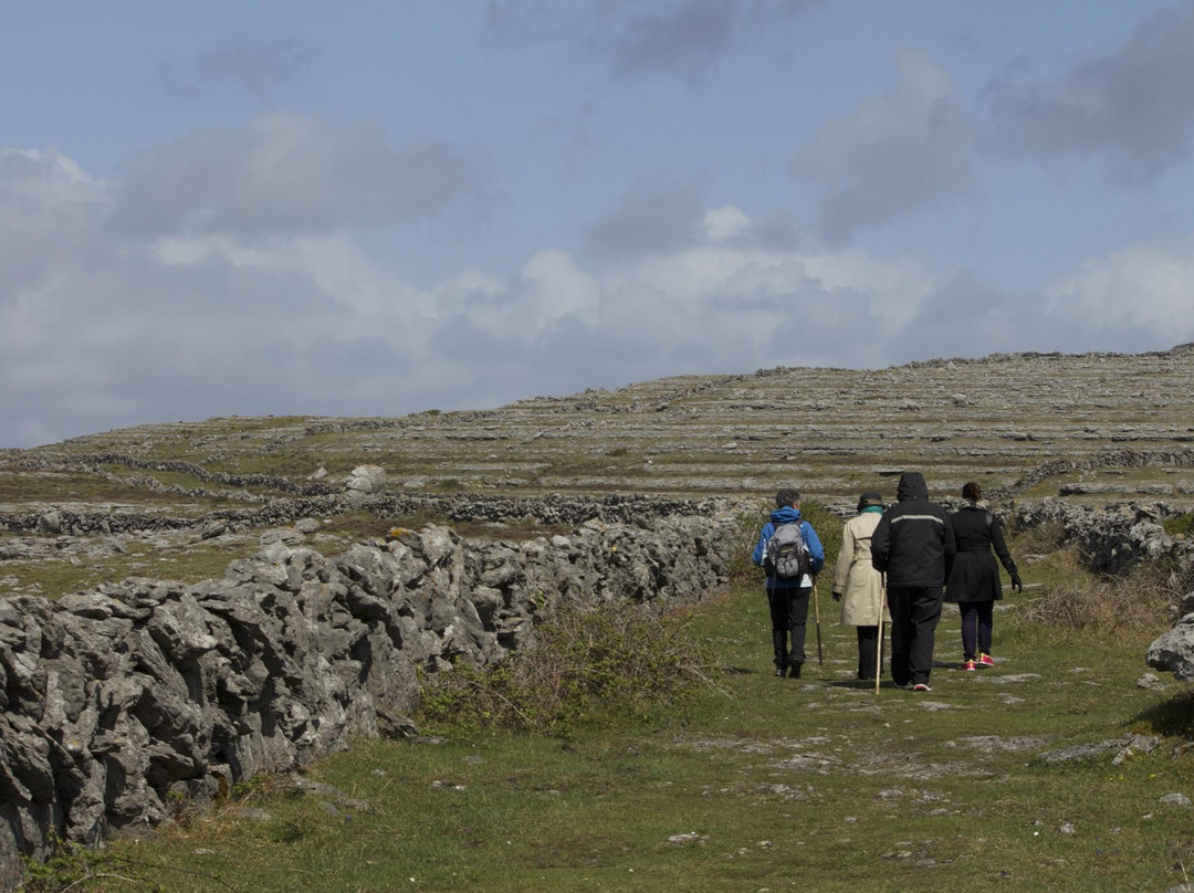 Burren Guided Walks & Hikes-Walking Day Tours景点图片