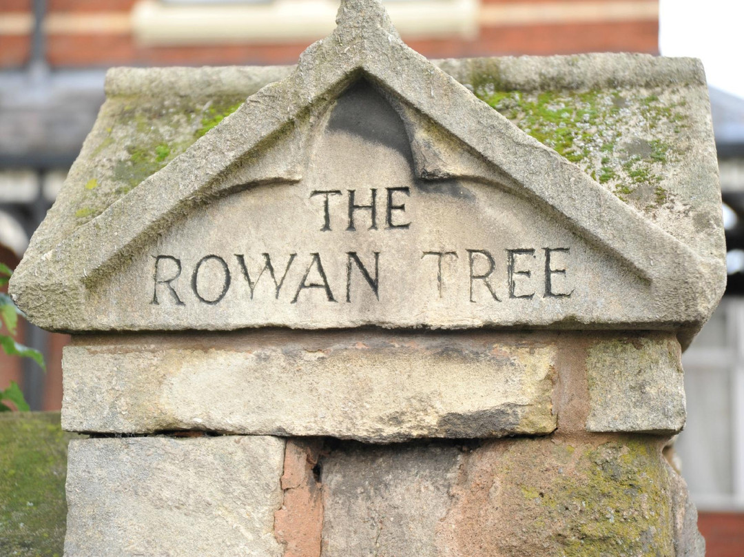 The Rowan Tree Guest House主图