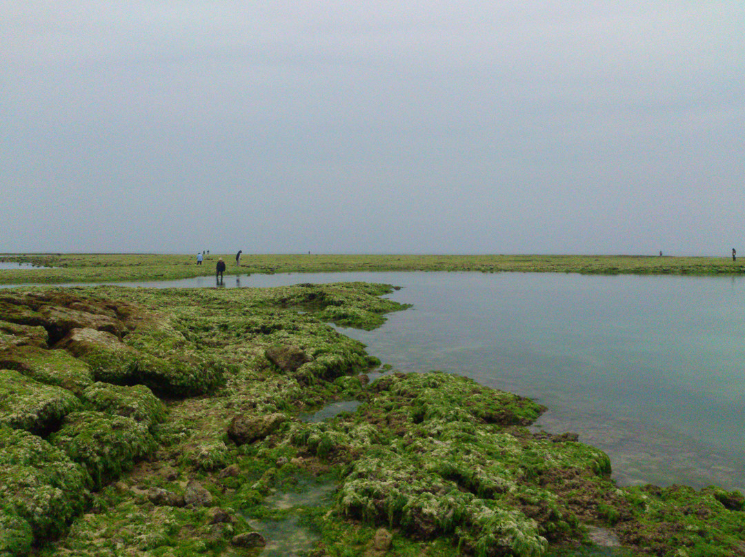 宜野湾热带海滩-宜野湾市必去景点