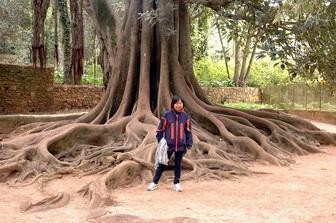 Jardim da Quinta das Lagrimas景点图片