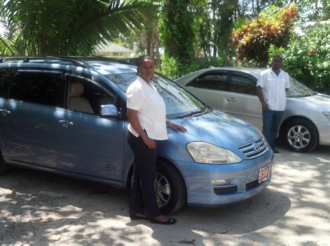 Turner Taxis and Tours Jamaica景点图片