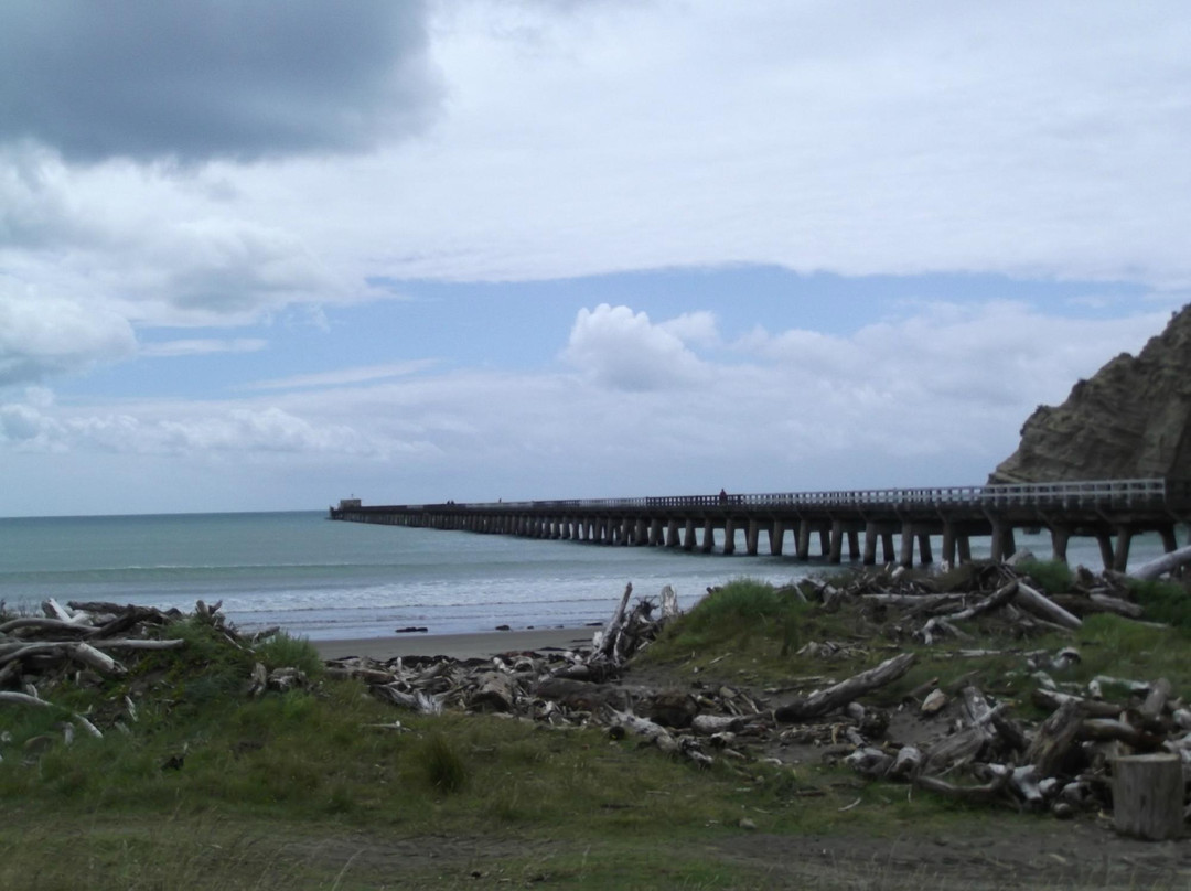 Tolaga Bay Historic Wharf-Tolaga Bay必去景点