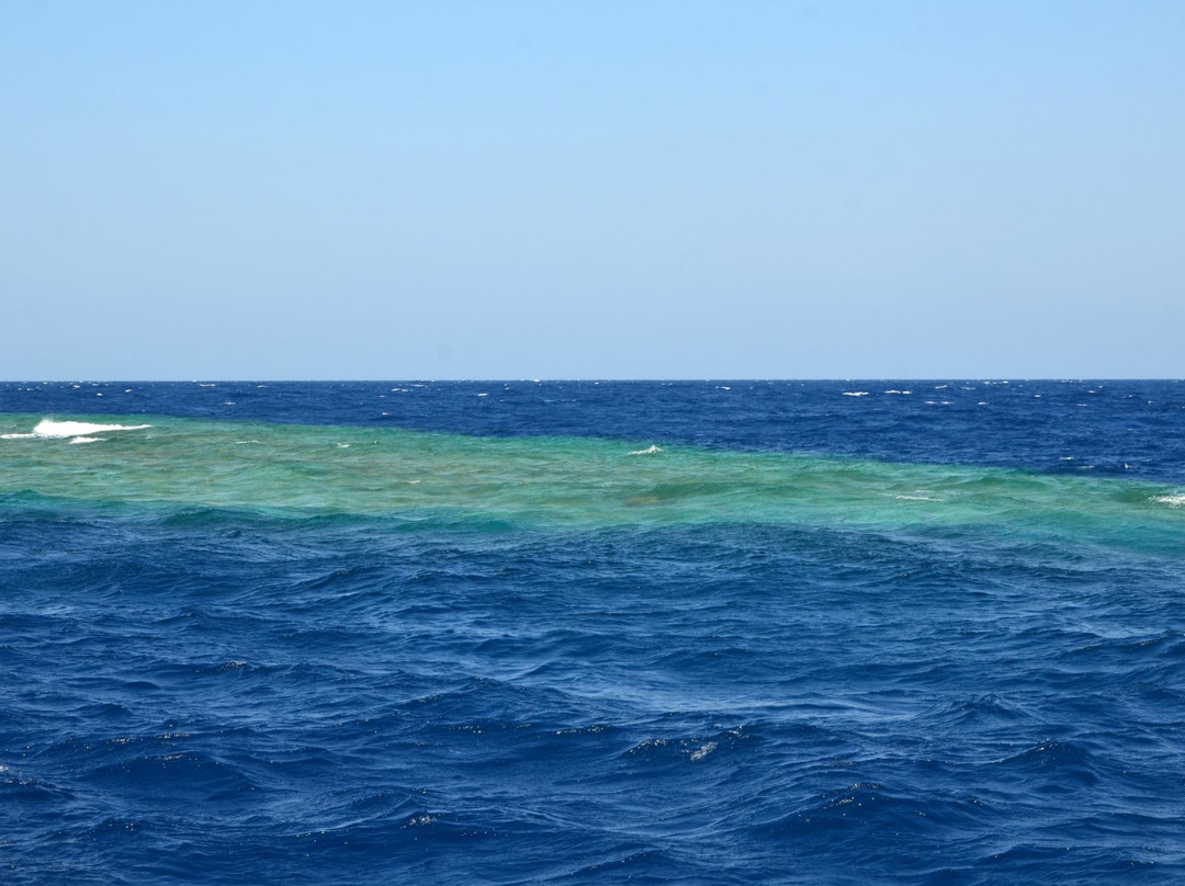 Elphinstone Reef景点图片