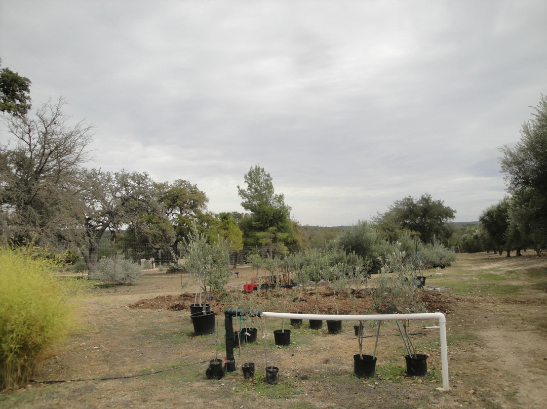 Bella Vista Ranch-Wimberley必去景点
