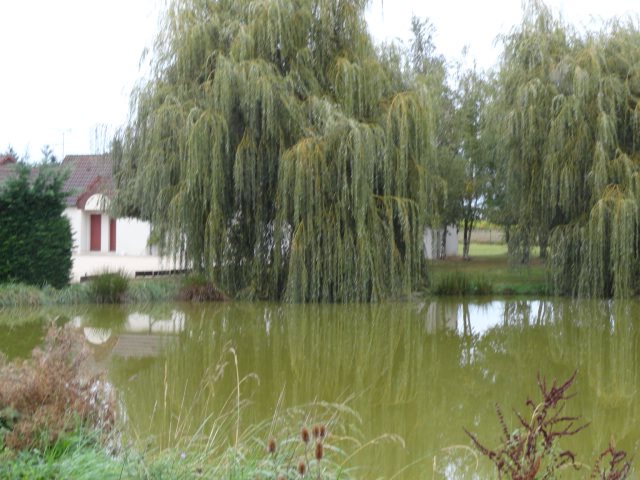 Cheverny La Vie Est belle-官方