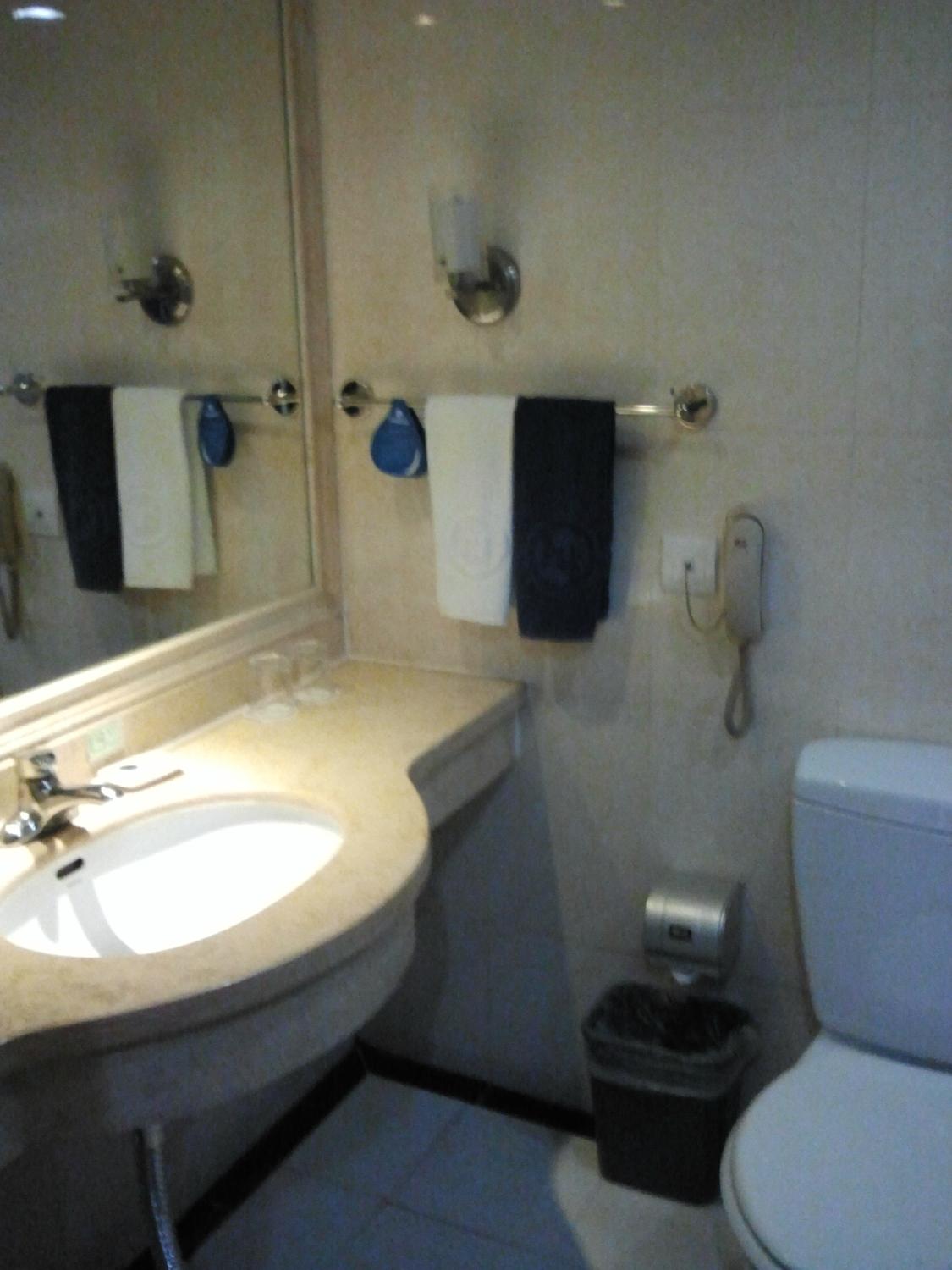 瑞成大酒店-浴室