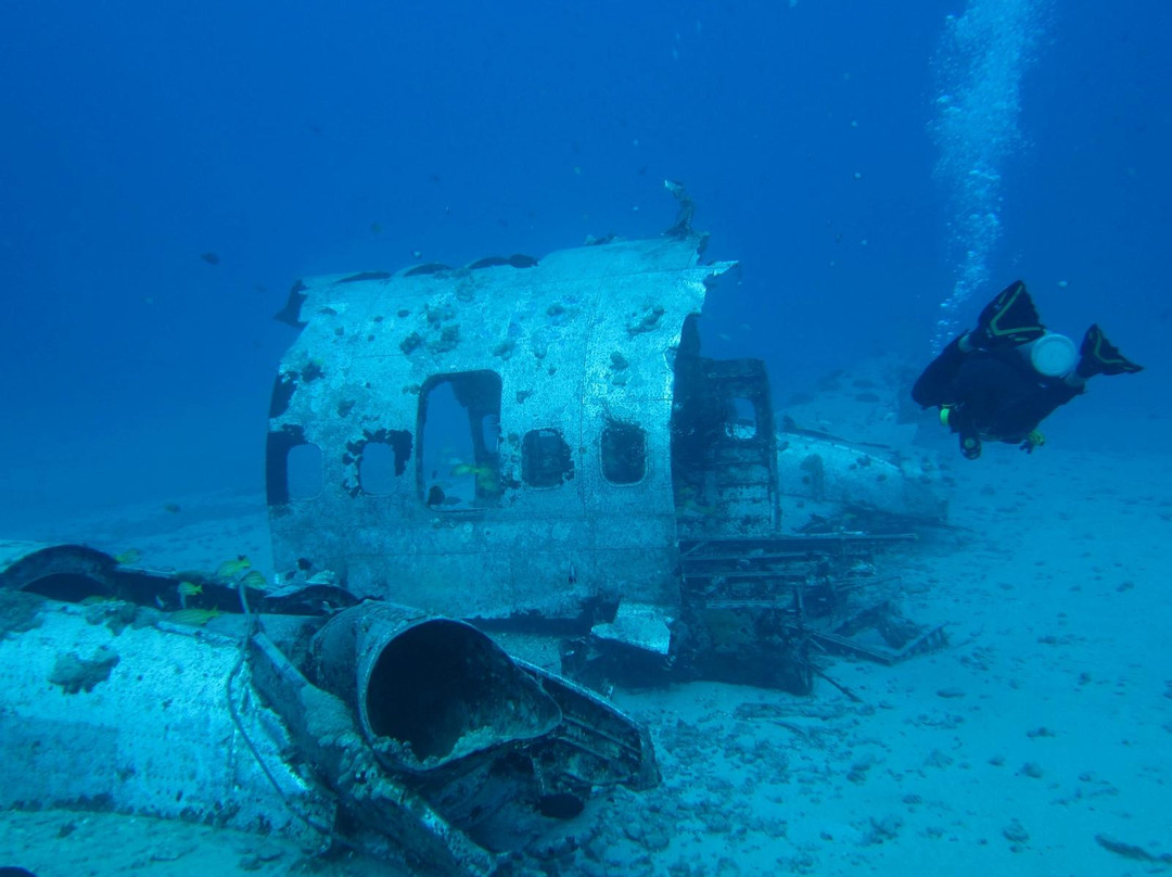 凯马纳潜水-火奴鲁鲁必去景点