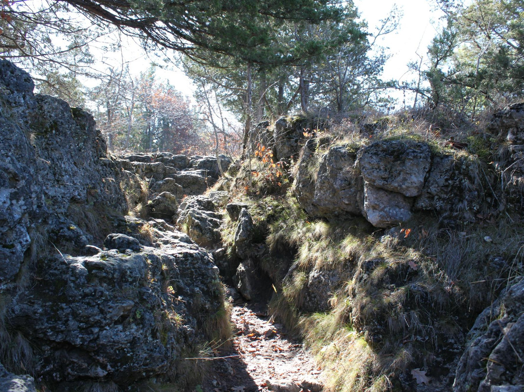 Backbone State Park-Dundee必去景点