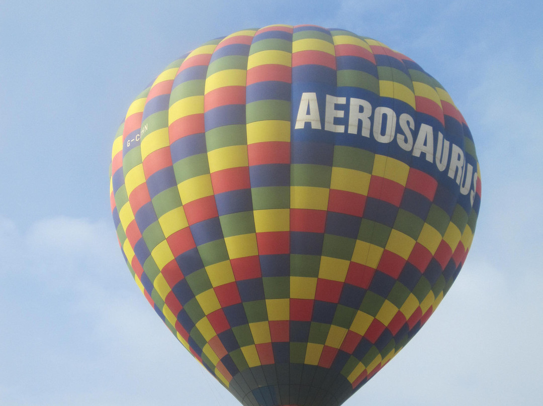 Aerosaurus Balloons -Tours景点图片
