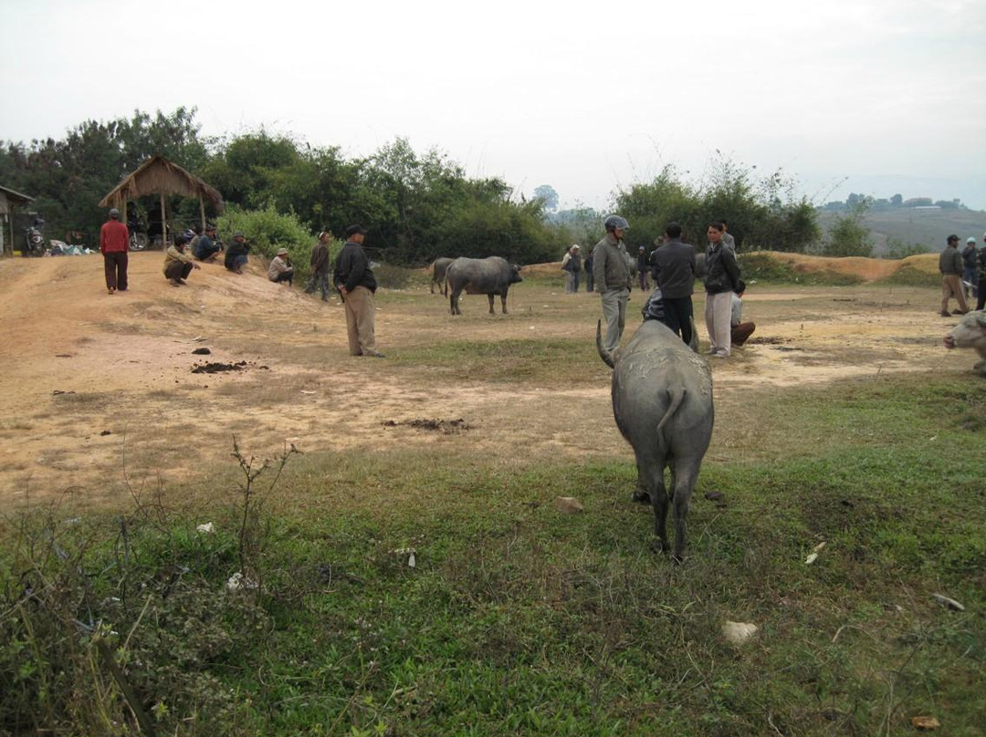 Water Buffalo Market-Kengtung必去景点