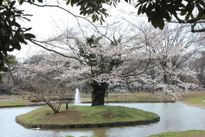 Tokyo Bicycle Tour-Nakameguro必去景点