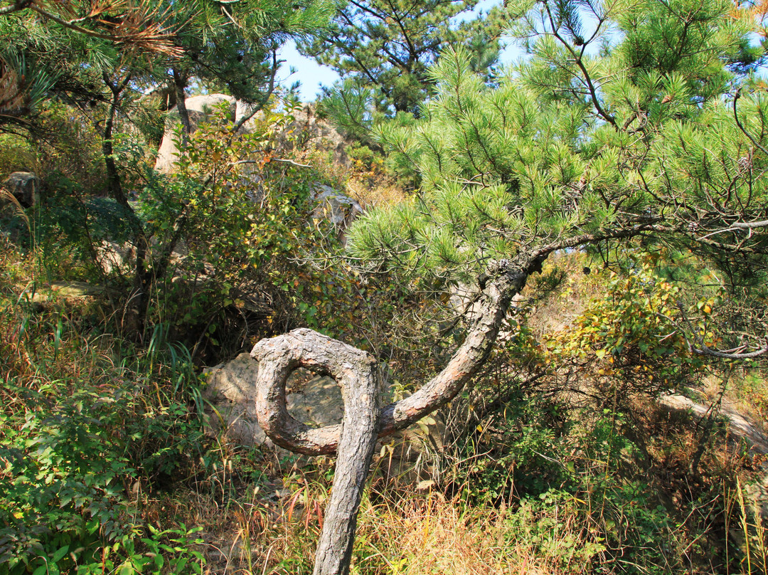 招虎山-海阳市必去景点