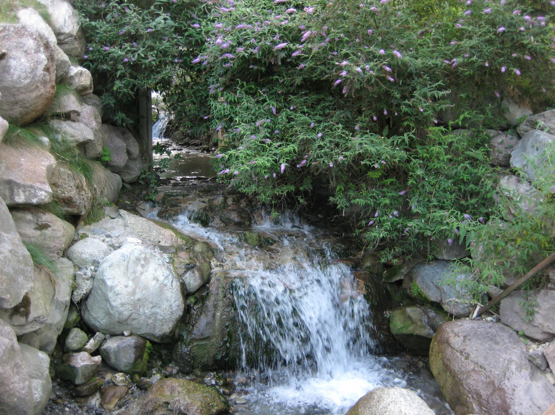 Vecchio Mulino主图